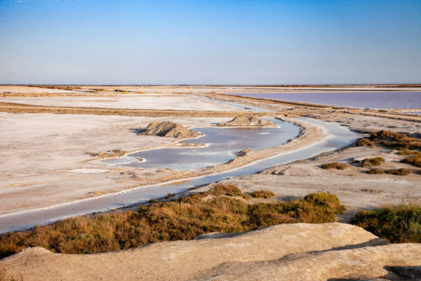 Un Giorni In Camargue E Alla Saline De Giraud Cosa Vedere