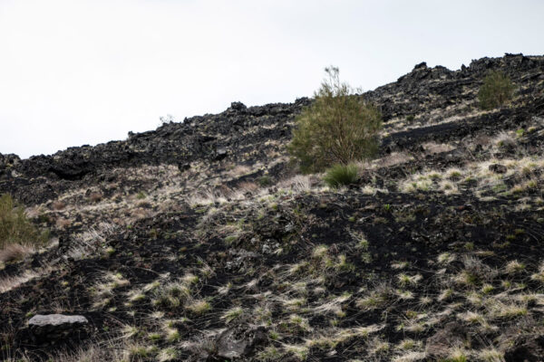 Escursioni Sull Etna Crateri Sommitali E Visite In Autonomia